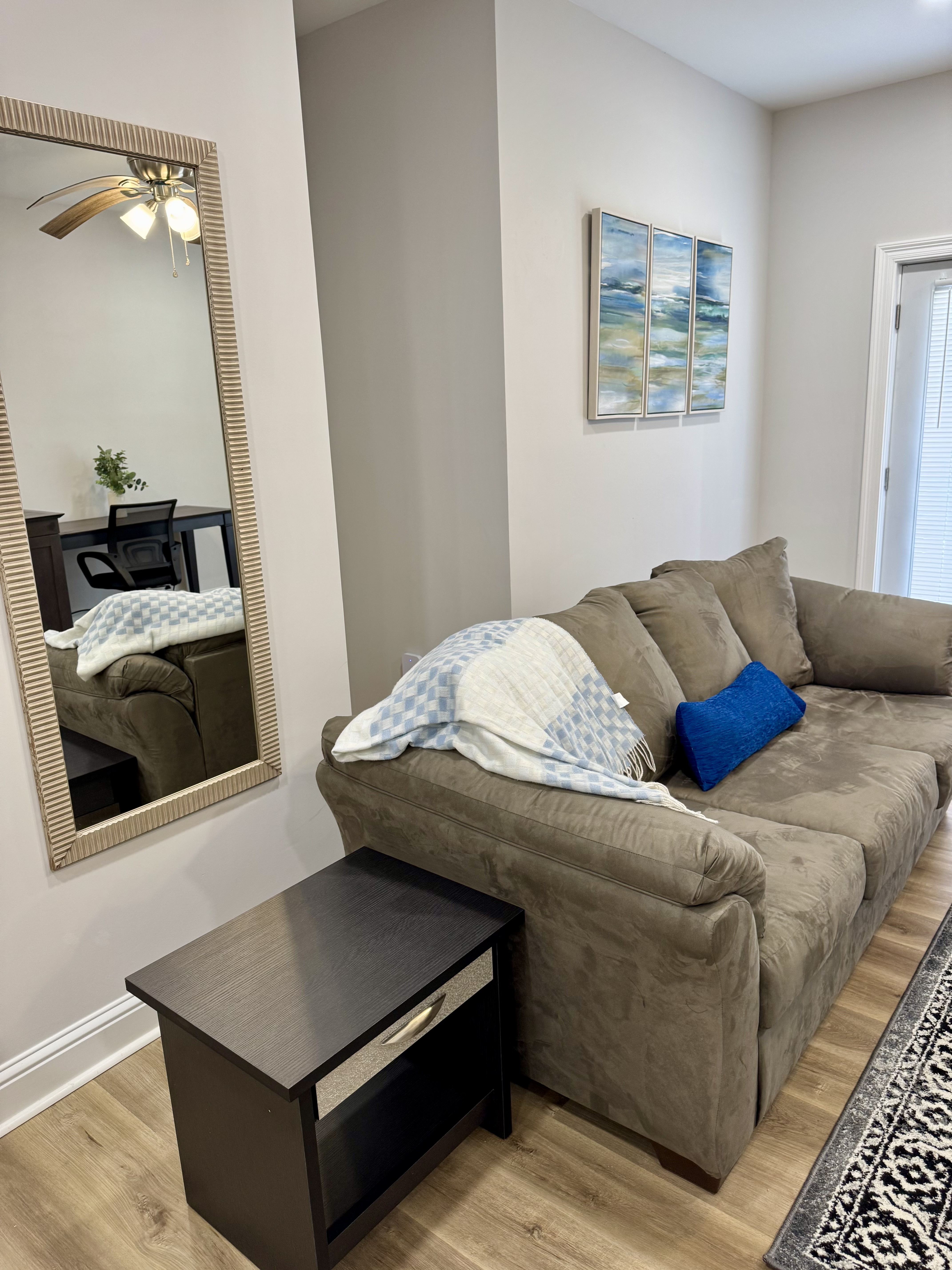 Furnished living room